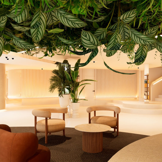 Aubamar Hotels New Opening