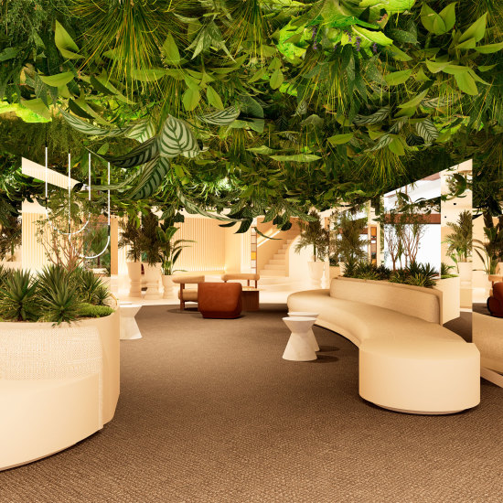 Aubamar Hotels New Opening